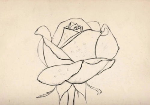 怎么画头像华为电脑版(华为电脑版头像绘画教程,从零开始,轻松掌握头像绘制技巧) 怎么画头像华为电脑版(华为电脑版头像绘画教程,从零开始,轻松掌握头像绘制技巧)