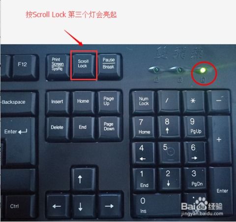 华为怎么开电脑键盘灯(华为电脑键盘灯开启指南) 华为怎么开电脑键盘灯(华为电脑键盘灯开启指南)