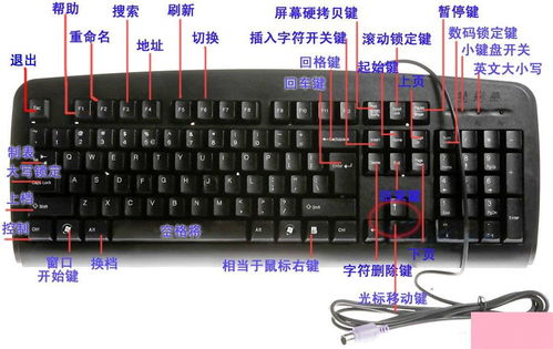 华为电脑键盘怎么调大小(华为电脑键盘大小调整方法与步骤详解) 华为电脑键盘怎么调大小(华为电脑键盘大小调整方法与步骤详解)