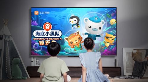 华为视频会员怎么放电脑(华为视频会员在电脑上如何畅享视听盛宴) 华为视频会员怎么放电脑(华为视频会员在电脑上如何畅享视听盛宴)