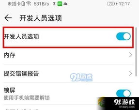 怎么在电脑上装华为音乐(如何在电脑上安装华为音乐，详细步骤与操作指南)
