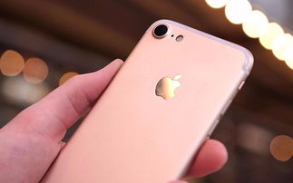 iphone怎么共享华为电脑(iPhone与华为电脑共享之道,轻松实现无缝连接) iphone怎么共享华为电脑(iPhone与华为电脑共享之道,轻松实现无缝连接)
