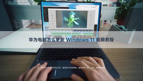 怎么用华为电脑画画(华为电脑画画,入门指南与技巧分享) 怎么用华为电脑画画(华为电脑画画,入门指南与技巧分享)
