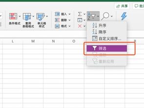 华为电脑表格怎么筛选(华为电脑表格筛选功能详解) 华为电脑表格怎么筛选(华为电脑表格筛选功能详解)