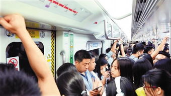 上海地铁回应便衣当场抓捕猥亵男子(上海地铁回应便衣当场抓捕猥亵男子,坚决维护公共安全,严厉打击违法行为) 上海地铁回应便衣当场抓捕猥亵男子(上海地铁回应便衣当场抓捕猥亵男子,坚决维护公共安全,严厉打击违法行为)