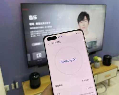 电脑怎么穿华为手机(电脑与华为手机的无缝连接，如何实现在电脑中使用华为手机)