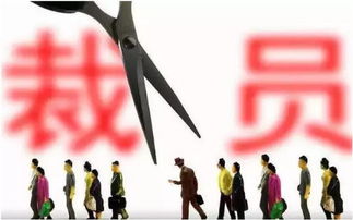 大厂程序员被裁后制毒贩毒获刑(大厂程序员遭遇人生巨变,裁员后的制毒贩毒之路及其获刑) 大厂程序员被裁后制毒贩毒获刑(大厂程序员遭遇人生巨变,裁员后的制毒贩毒之路及其获刑)