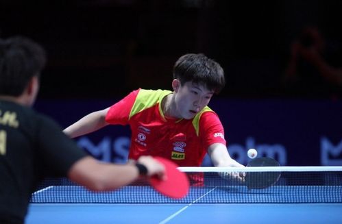 王楚钦4-0横扫张本智和夺冠(王楚钦4-0横扫张本智和夺冠，乒乓新星闪耀赛场)