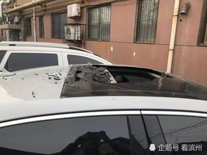 律师称被落石砸车家属索赔并无不妥(律师称被落石砸车家属索赔并无不妥—探究事件背后的法律逻辑) 律师称被落石砸车家属索赔并无不妥(律师称被落石砸车家属索赔并无不妥—探究事件背后的法律逻辑)