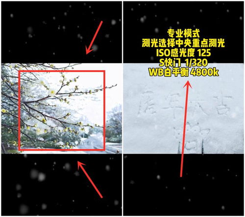 雪景怎么调手机华为 雪景怎么调手机华为