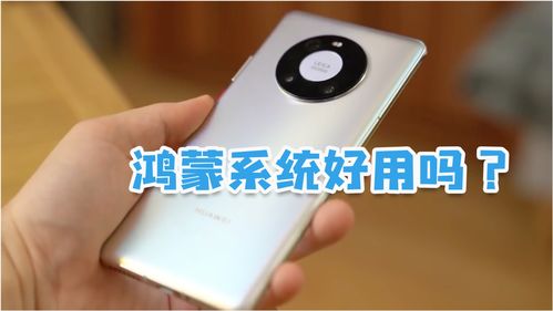 华为手机怎么系统尝鲜 华为手机怎么系统尝鲜