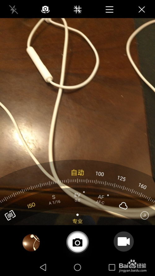 华为手机怎么拍月季 华为手机怎么拍月季
