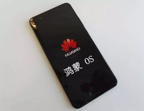 华为手机怎么更新hms