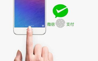 华为手机怎么指纹付款 华为手机怎么指纹付款