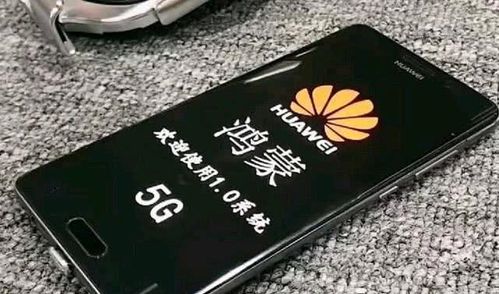 华为手机hms怎么更新 华为手机hms怎么更新