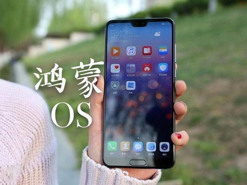 华为手机怎么抢先升级