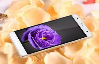 华为手机怎么打括号 华为手机怎么打括号