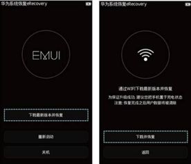 华为手机怎么强制数据 华为手机怎么强制数据