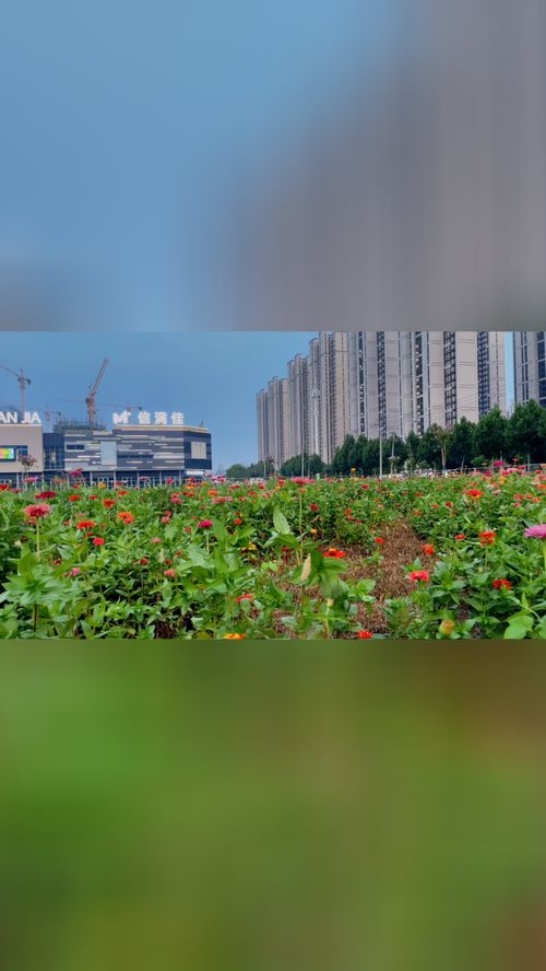 华为手机桌面怎么变化