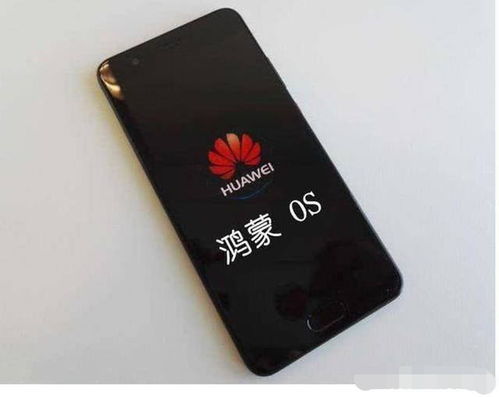 华为手机系统怎么下