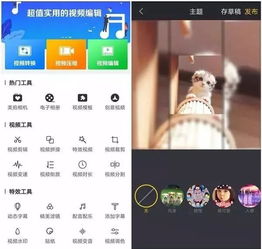 华为手机怎么支持应用