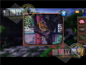 飞车游戏攻略 VS 密室逃脱游戏游戏攻略