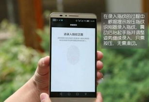 华为手机怎么查询植物 华为手机怎么查询植物