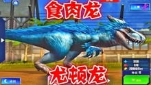 疯狂游戏沧龙游戏攻略 VS 丛林谜团游戏攻略 疯狂游戏沧龙游戏攻略 VS 丛林谜团游戏攻略