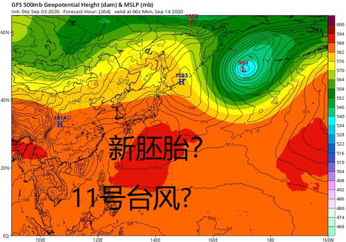 9号10号台风后11号12号也快了