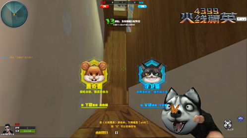 星际宝藏游戏攻略 VS 小猫游戏橘猫游戏攻略 星际宝藏游戏攻略 VS 小猫游戏橘猫游戏攻略