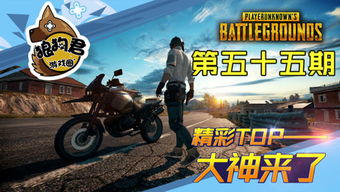 正确攻略游戏 VS 大狼狗游戏攻略