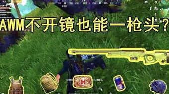 精英天成游戏攻略 VS 沙漠游戏172攻略 精英天成游戏攻略 VS 沙漠游戏172攻略