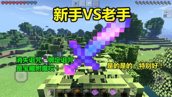 游戏我的世界游戏攻略 VS 怨憎会解密游戏攻略五