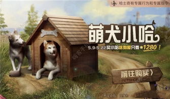 哈士奇回家游戏攻略 VS 游戏攻略解密游戏 哈士奇回家游戏攻略 VS 游戏攻略解密游戏