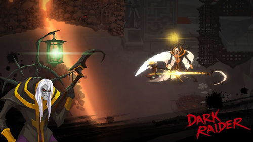 darkraider游戏攻略 VS 植物撒娇游戏攻略 darkraider游戏攻略 VS 植物撒娇游戏攻略