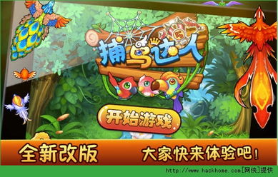 飞行鸟游戏攻略 VS 钓个金龟婿橙光游戏攻略 飞行鸟游戏攻略 VS 钓个金龟婿橙光游戏攻略