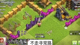 动物城池游戏攻略 VS 游戏termina攻略